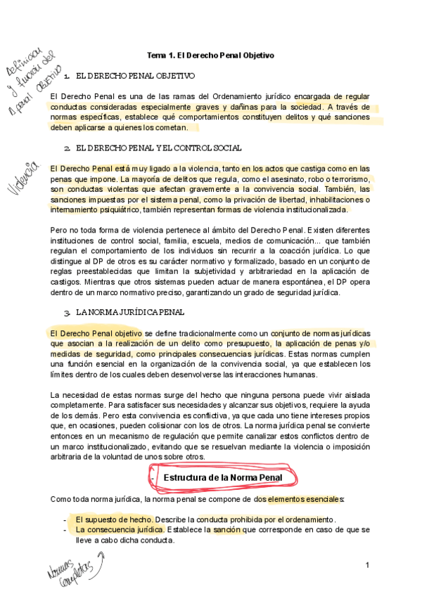 derecho penal objetivo