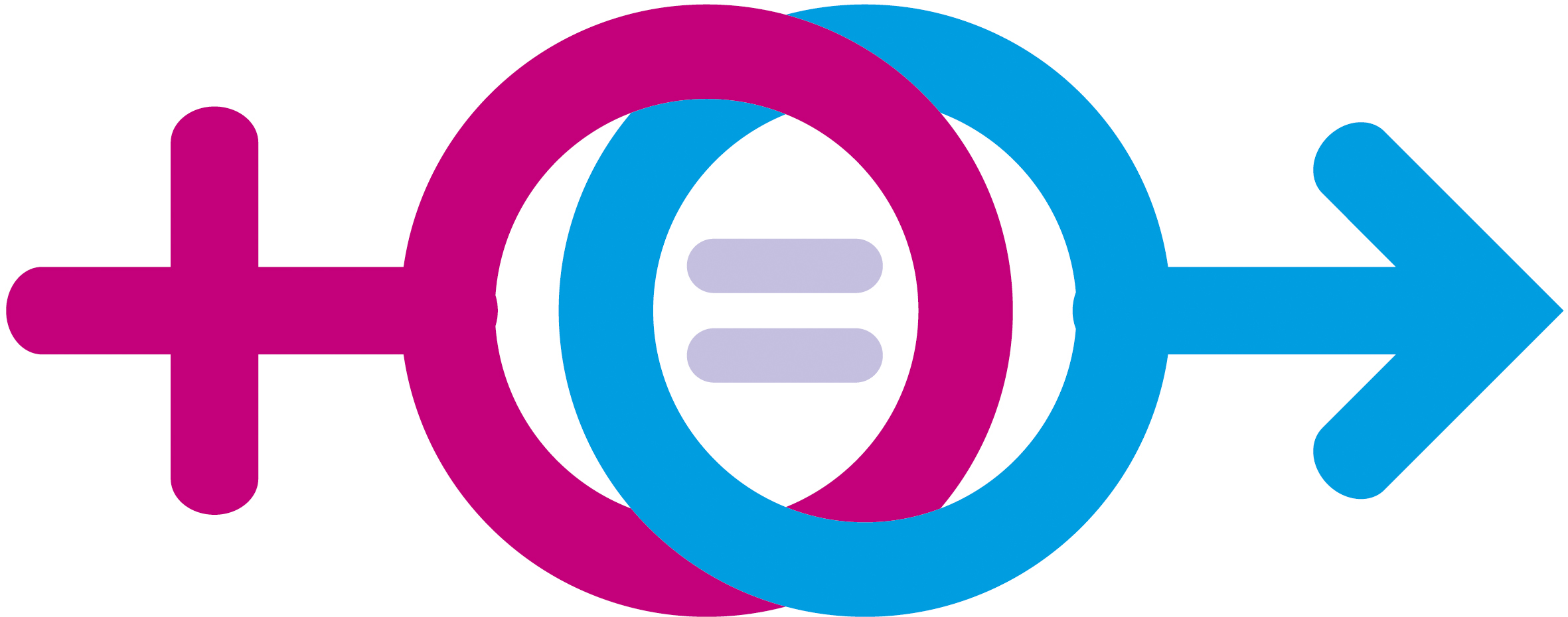 artículo 4 constitucional