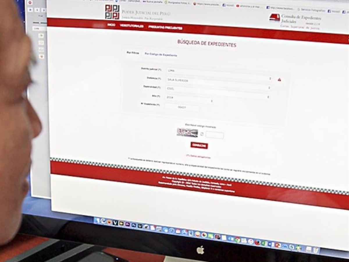 ver mis procedimientos judiciales