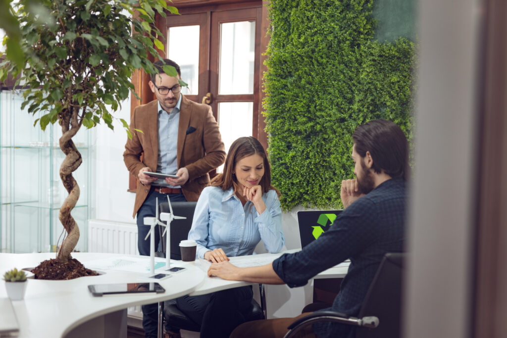 consultoria de sostenibilidad