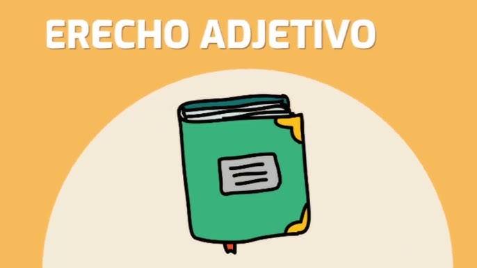 derecho adjetivo