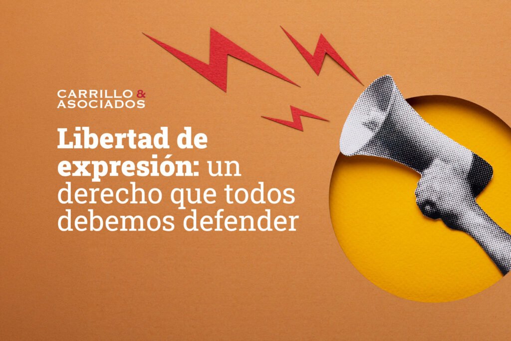 libertad de expresión constitución