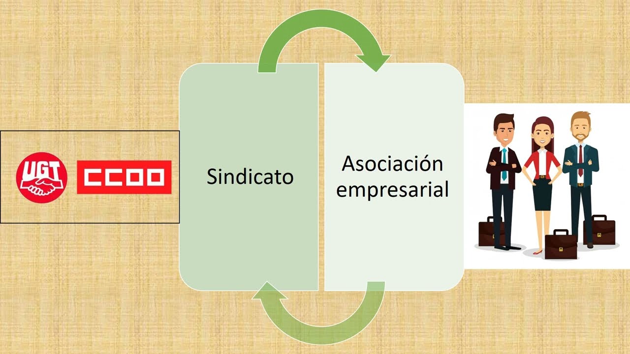 artículo 7