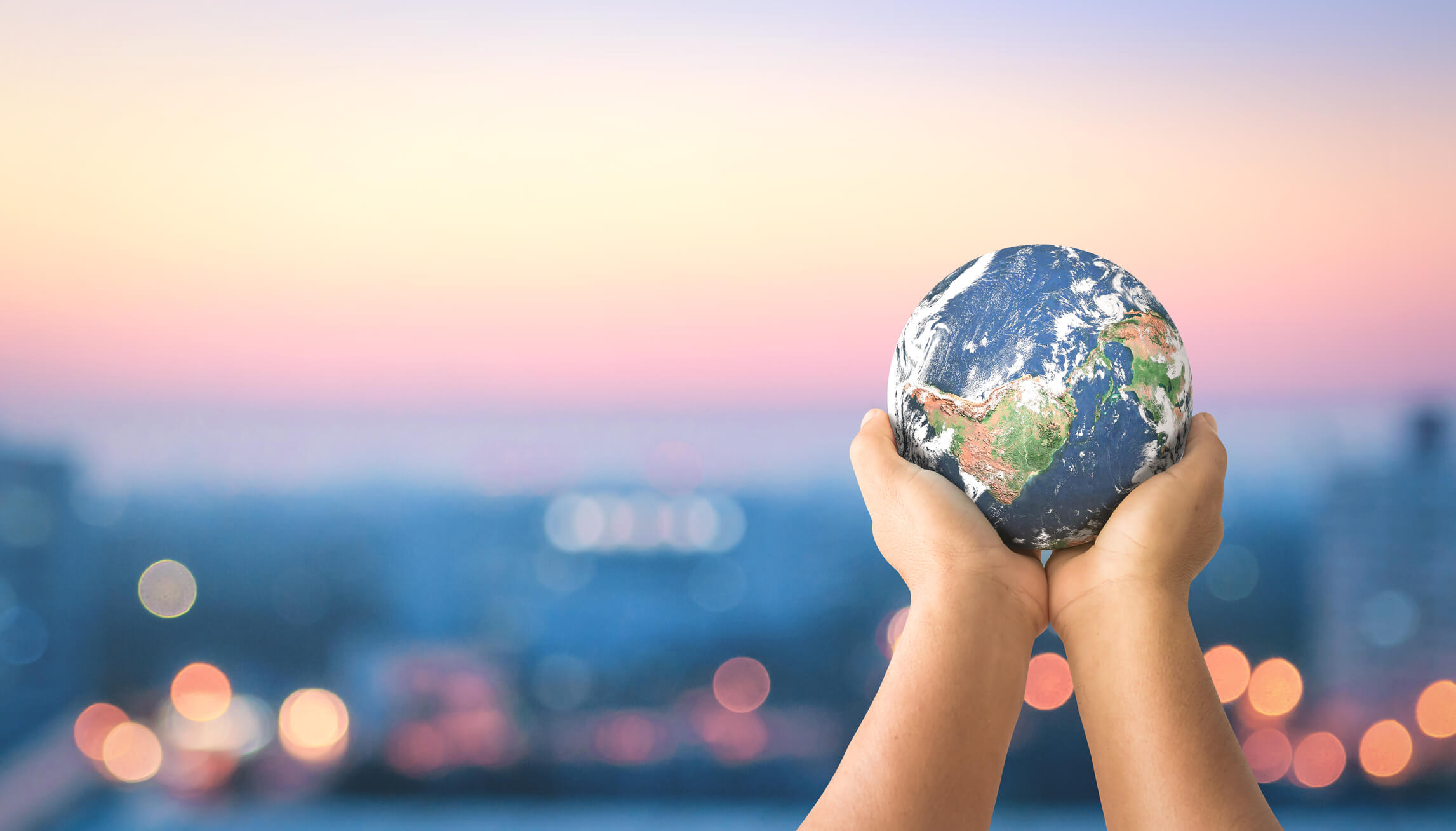 consultora comercio internacional