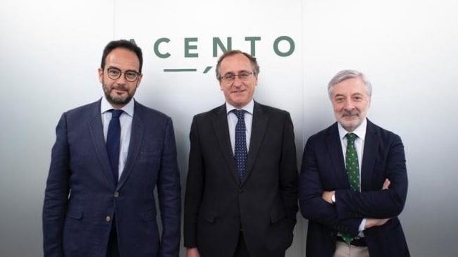 consultoria acento