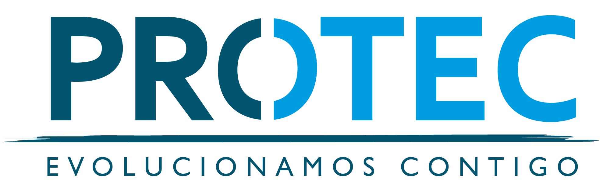 protec consultores