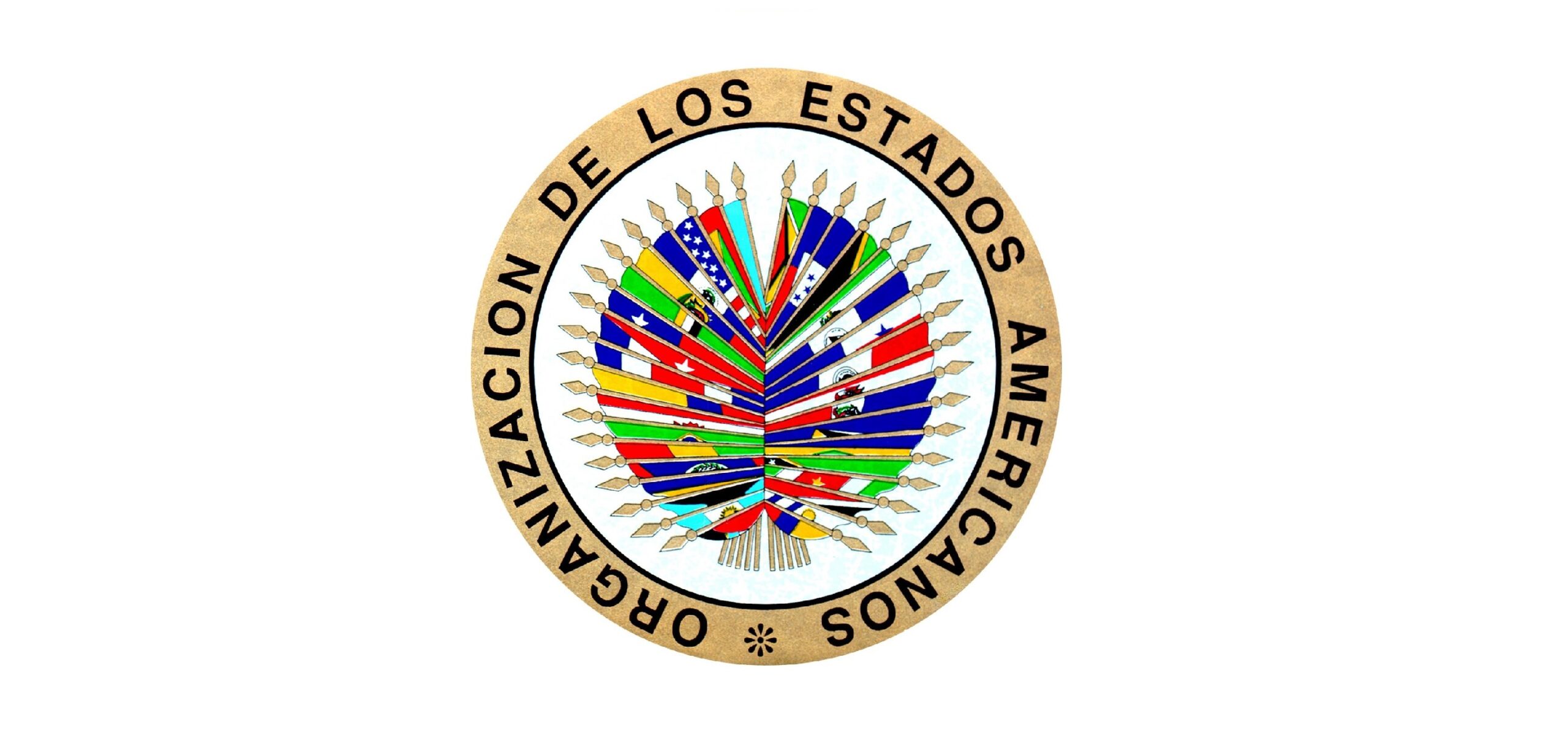 protocolo de san salvador